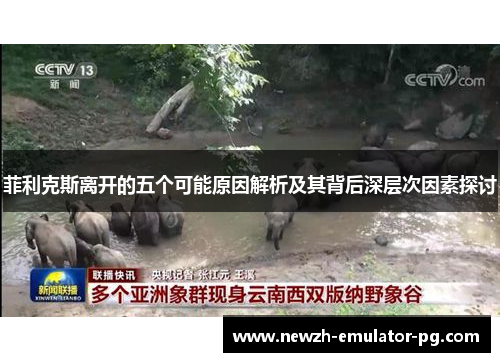 菲利克斯离开的五个可能原因解析及其背后深层次因素探讨