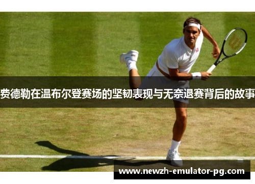 费德勒在温布尔登赛场的坚韧表现与无奈退赛背后的故事