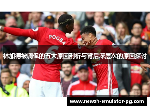 林加德被调侃的五大原因剖析与背后深层次的原因探讨