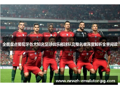 全面盘点葡萄牙各大知名足球俱乐部球队完整名单深度解析全景阅读