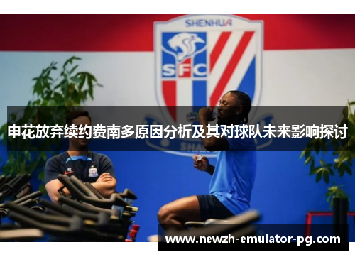 申花放弃续约费南多原因分析及其对球队未来影响探讨