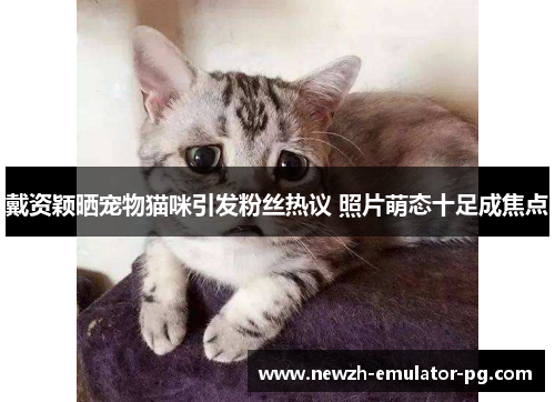 戴资颖晒宠物猫咪引发粉丝热议 照片萌态十足成焦点
