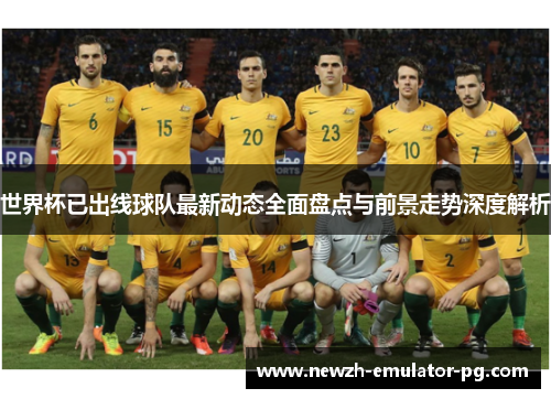 世界杯已出线球队最新动态全面盘点与前景走势深度解析