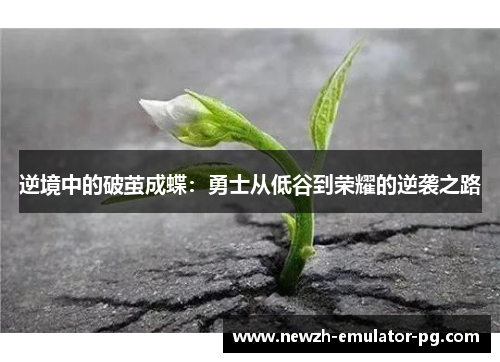 逆境中的破茧成蝶：勇士从低谷到荣耀的逆袭之路